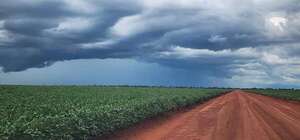 Meteorología: pronostican miércoles caluroso con lluvias y tormentas en Paraguay - Clima - ABC Color