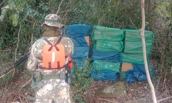 Incautan cigarrillos a orillas del río Paraná