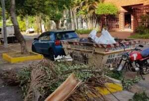 Museo del Barro recibirá a turistas en medio de la basura gracias a Nenecho - Nacionales - ABC Color