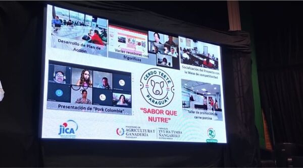 Presentan avances del proyecto de carne porcina “Cerdo Teeté – Sabor que nutre”