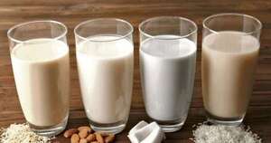 La Nación / ¿Cuál es el tipo de leche más saludable y beneficiosa para cuidar la figura?
