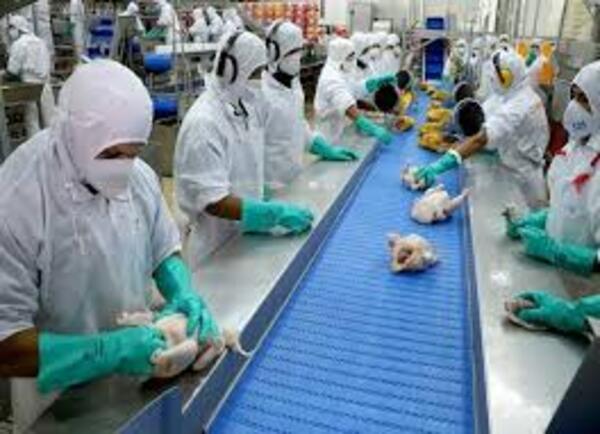 Precios de pollos y ropas en Brasil alientan al contrabando