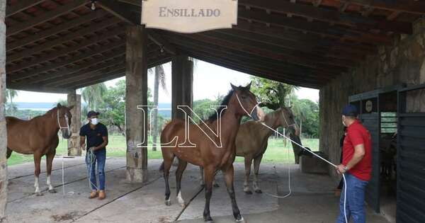 La Nación / Haras La Valtellina reaviva paz combinando naturaleza y pasión en Semana Santa