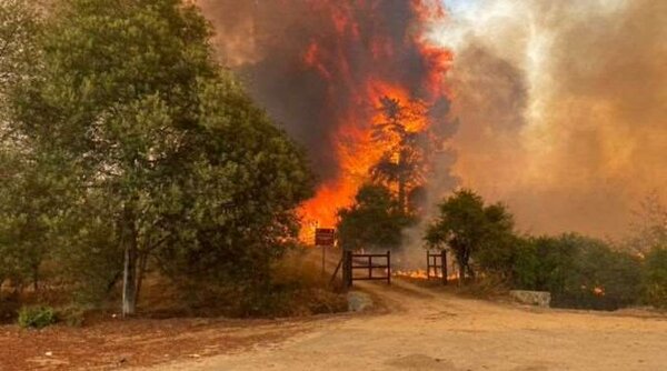 Crisis climática: 2023 fue el año más cálido desde que hay registros
