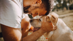 Estudio revela los perros demuestran entender el significado de las palabras - trece