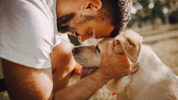 Estudio revela los perros demuestran entender el significado de las palabras - trece