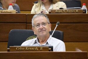 PLRA en crisis: Ex legislador advierte falta de liderazgo y rumbo en el partido - ADN Digital