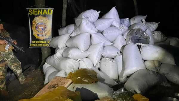 Senad decomisa más de 10 toneladas de marihuana en Amambay