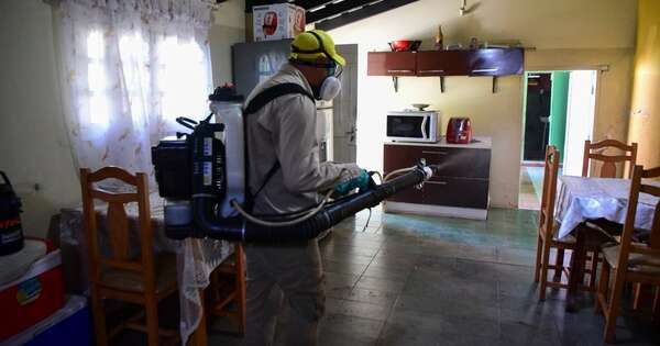 La Nación / Brasil, Paraguay y Argentina encabezan la “peor temporada de dengue”
