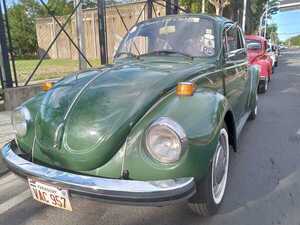 La caravana de los escarabajos Volkswagen lleva color y alegría a la Costanera - Megacadena - Diario Digital