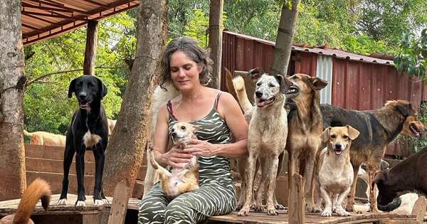 Diario HOY | Jaguarenda: la reserva ecológica convertida en santuario canino