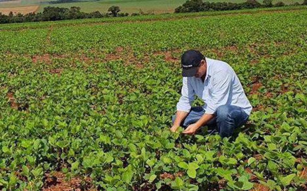Prevén para abril pocas lluvias y escasa humedad para cultivos
