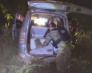 Senad decomisó toneladas de marihuana en Amambay - La Tribuna