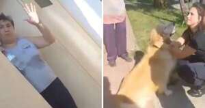 Diario HOY | Argentina: Mujer llevó a su perro a la carnicería y preguntó si lo podían “faenar”