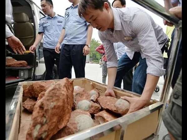 Arqueólogos descubren en China ruinas ruinas de ciudades de hasta 2.000 años de antigüedad - Ciencia - ABC Color
