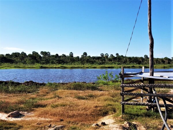 Iniciarán tareas para revitalización de tajamares en el Chaco - .::Agencia IP::.