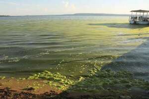 San Bernardino: directora de Conalaypa dice que el agua del lago se pone verde por la sequía - Nacionales - ABC Color