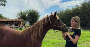 Diario HOY | ¿El Pombero visitó al caballo de Sanie?: “No fue el viento...”