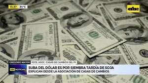 Video: la suba del dólar es por la siembra tardía de soja, según la Asociación de Casa de Cambios  - ABC Noticias - ABC Color