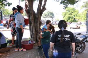 Instan a no dar monedas para prevenir la explotación infantil en las calles - ADN Digital