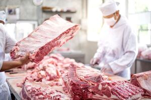 Paraguay exportó carne por US$ 333 millones en el primer trimestre del año