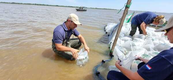 Yacyretá respalda en Ñeembucú proyecto de cría de peces en estanque - .::Agencia IP::.