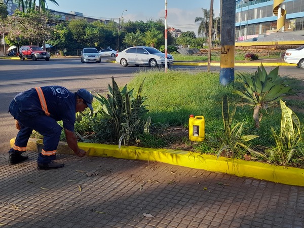 Impulsan mejoras en zona del circuito comercial de Encarnación