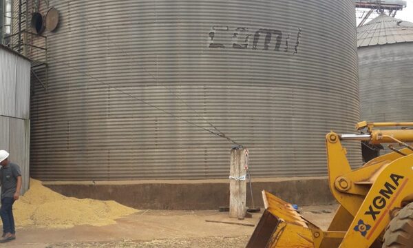Hombre muere en silo de Yguazú