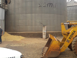 Trabajador muere aplastado por toneladas de granos en Yguazú - Noticiero Paraguay
