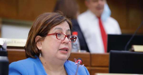 La Nación / “Pedimos que nos permitan contribuir en los proyectos”, afirmó senadora
