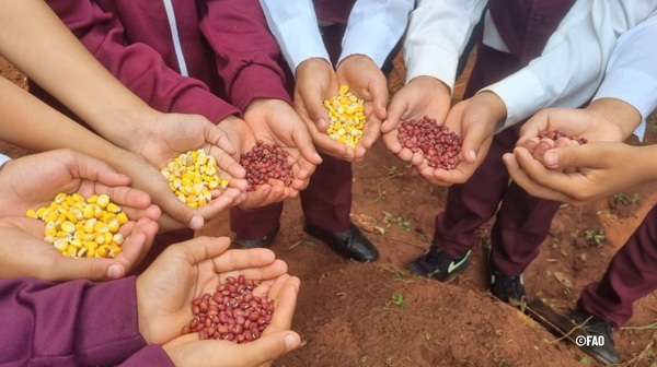 La FAO cooperará con el Gobierno paraguayo en el proceso de instalación de Mesas de Protección Social en 22 municipios - ADN Digital