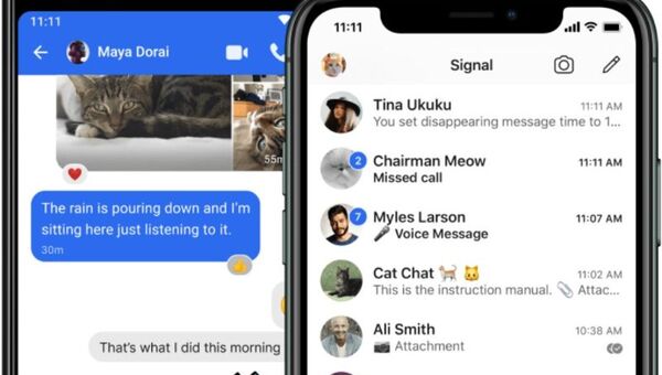 Tenés un mensaje: Cinco alternativas si querés dejar de usar WhatsApp y Telegram