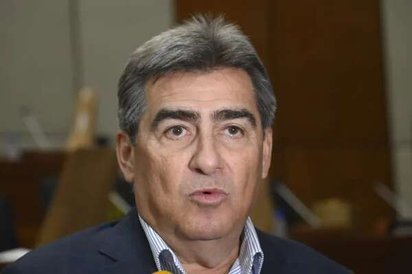 Sin causa ni marco legal para pérdida de investidura, dice diputado Roberto González - Política - ABC Color