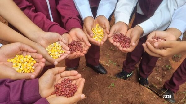 FAO cooperará con el Gobierno paraguayo en el proceso de instalación de Mesas de Protección Social en 22 municipios