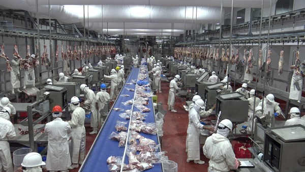Carne paraguaya: EEUU dice no / Taiwán dice si