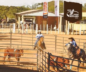 ¡Experimenta la emoción del Ranch Sorting en la Expo Rodeo Neuland 2024!