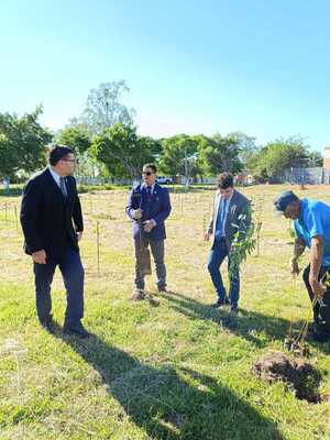 En pleno horario laboral, magistrados plantan arbolitos 