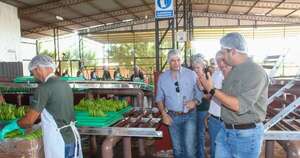 La Nación / Concretan primer envío de banana paraguaya a Chile