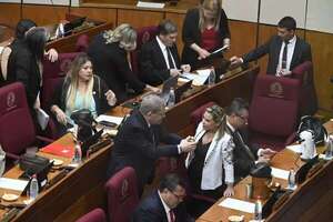 Pedido de desafuero a Mario Abdo: cartistas abandonan la sesión del Senado y queda sin quórum - Política - ABC Color