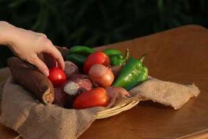 Teko Katu: invitan a serie de ferias de productos agroecológicos - Economía - ABC Color