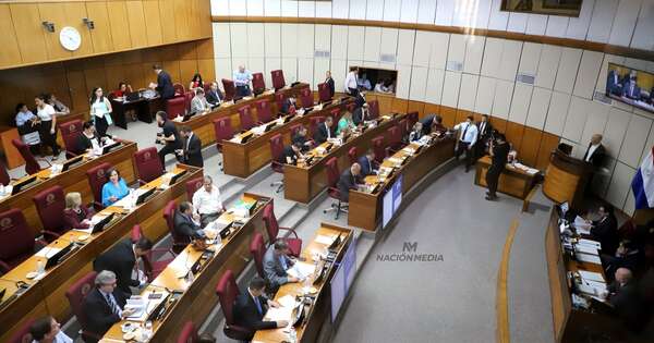 La Nación / Senado convoca a sesión extraordinaria para tratar “Hambre cero”