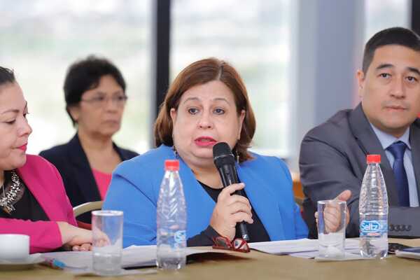 Tratarán "Hambre Cero" en sesión extra para tapar el "fracaso" del cartismo en desafuero de Abdo, afirmó senadora - Megacadena - Diario Digital
