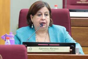 Senado citará al titular del IPS y a sus consejeros - Política - ABC Color