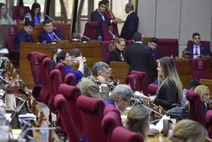 Proyecto de que castiga “desacato legislativo” tiene un defecto de forma y origen, según diputado - Política - ABC Color
