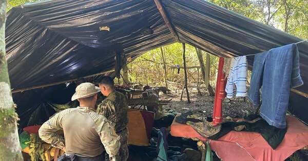 Diario HOY | Paraguay y Brasil eliminan 167 toneladas de marihuana