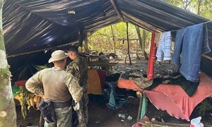Paraguay y Brasil eliminan 167 toneladas de marihuana – Prensa 5
