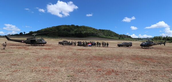 Paraguay y Brasil abren operación y eliminan 75 toneladas de marihuana en su primera jornada - .::Agencia IP::.