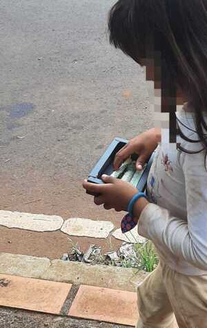 Codeni insta a no fomentar mendicidad infantil en CDE - La Clave