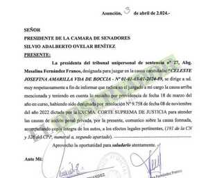 Comunican al Senado querella por difamación promovida contra Celeste Amarilla 