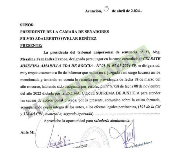 Comunican al Senado querella por difamación promovida contra Celeste Amarilla